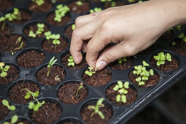Nueva Ley de Residuos: más allá de la basura 