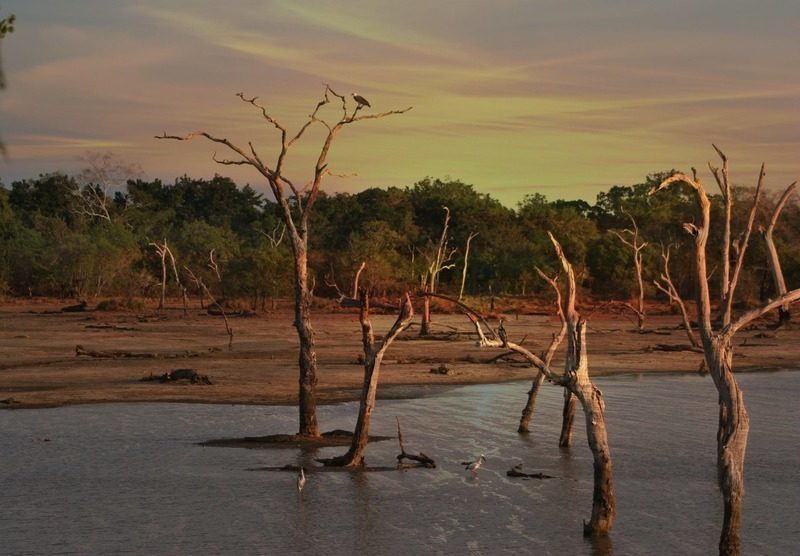 La ONU insiste en que la recuperación económica debe poner el medio ambiente en el centro