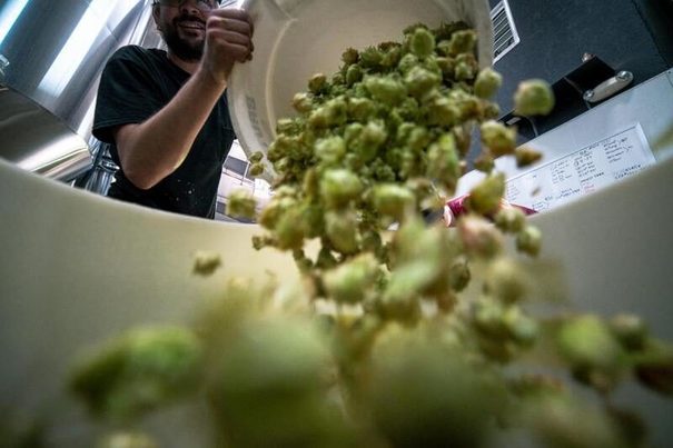 Un proyecto de la Universidad de Córdoba busca una segunda vida para el desperdicio alimentario en restauración 