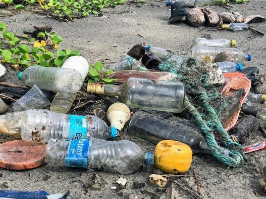 País Vasco: Detectados más de 500 focos de basura dispersa en Gipúzkoa