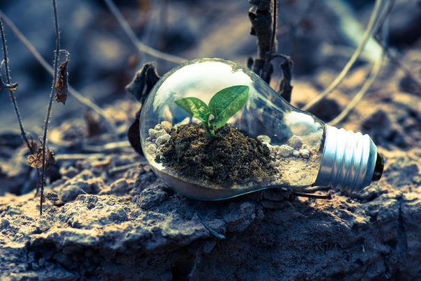 El MITECO apuesta por una recuperación económica que integre la Agenda 2030 de manera transversal