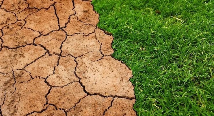 La crisis climática, un reto mucho más difícil que el COVID-19, según expertos