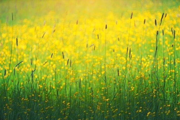La Ley Climática, el primer gran reto del nuevo curso político en España