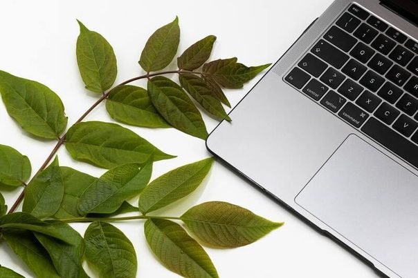 RECUWASTE se traslada al 6 y 7 de octubre de 2021 con una edición virtual