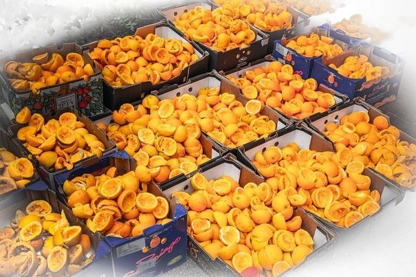 Disminuye ligeramente el desperdicio alimentario en España, aunque sigue siendo elevado