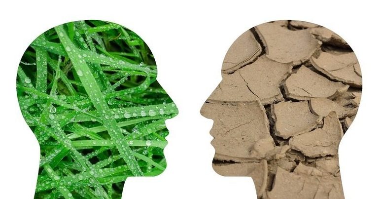 Aprobado el Plan Nacional de Adaptación al Cambio Climático (PNACC)