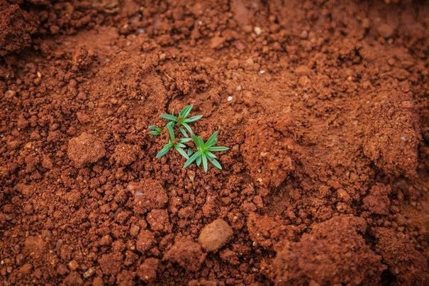 Galicia: Aprobada la ley autonómica de residuos y suelos contaminados 