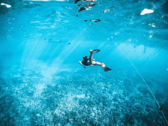 La VI Gran Limpieza Internacional de Fondos Marinos reúne a mil buceadores voluntarios en toda España