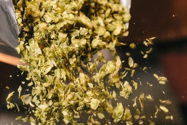 El Gobierno de Aragón se suma a la marea verde contra el desperdicio alimentario de la ONU