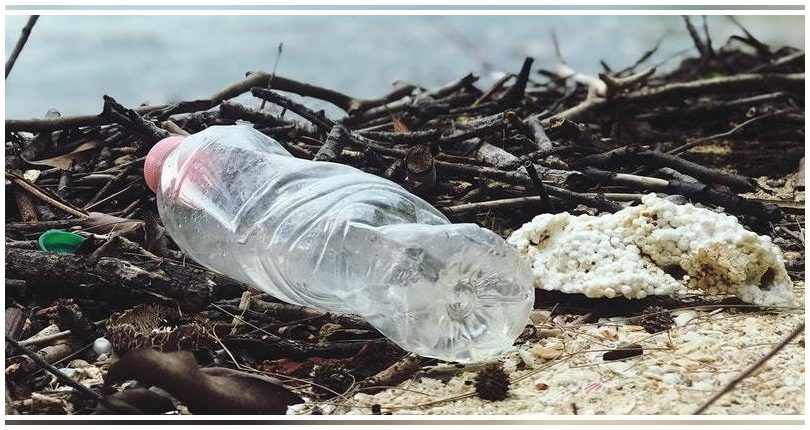 Un estudio de la UPCT y el MITECO cuantifica la presencia de microplásticos en el Mar Menor