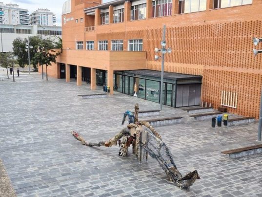 Valencia: Instalada en el Campus de Gandía escultura realizada con basura marina