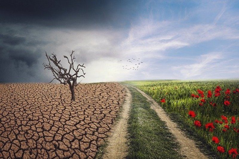 Presentadas más de 750 enmiendas a la futura Ley de Cambio Climático