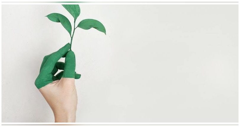 Publicado un documento del GECV con 34 casos de Economía Circular