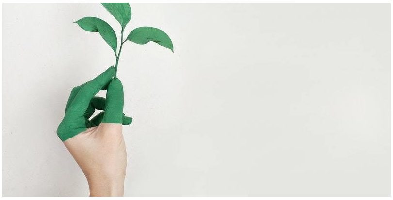 Publicado un documento del GECV con 34 casos de Economía Circular