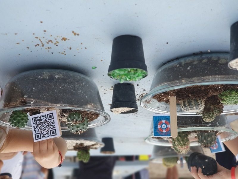 La campaña "Un mar de posibilidades" recoge más de una tonelada de RAEE y pilas usadas en Murcia