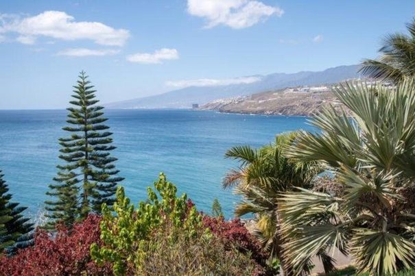 Palmetum: el oasis que transformó en parque una montaña de basura en Tenerife