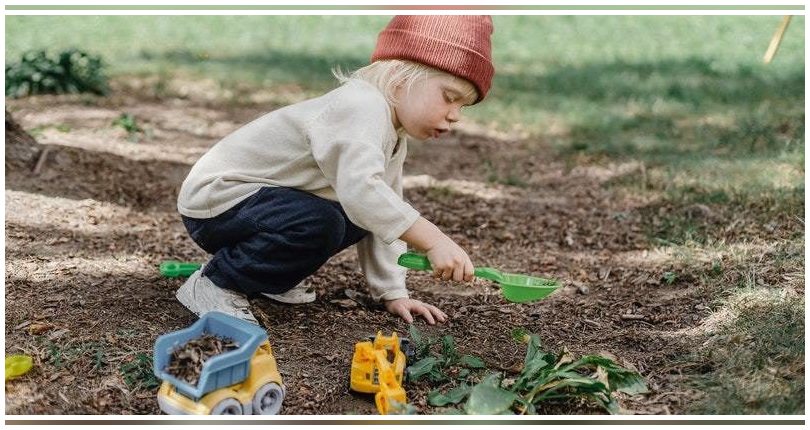 Alicante: Presentados los resultados de la campaña "En el cole compostamos" en Elche
