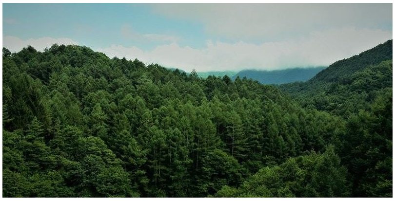 Andalucía: Reunión de trabajo en el proyecto Economía Circular Sierra de Cádiz