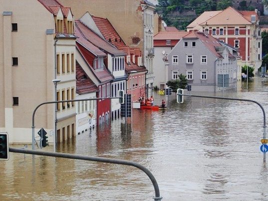 Soluciones basadas en la naturaleza para conjurar los riesgos climáticos