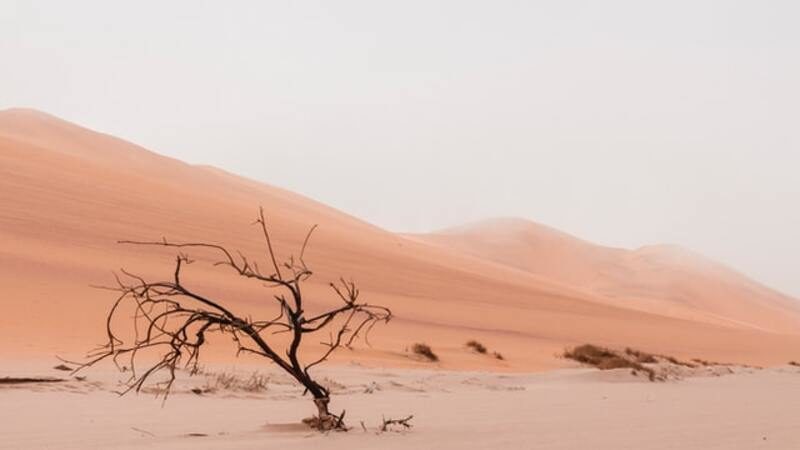 La inclusión del impacto ambiental da un vuelco a la nueva versión del IDH