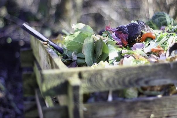 Canarias: El Cabildo distribuye residuos vegetales como fertilizante entre ganaderos de El Hierro