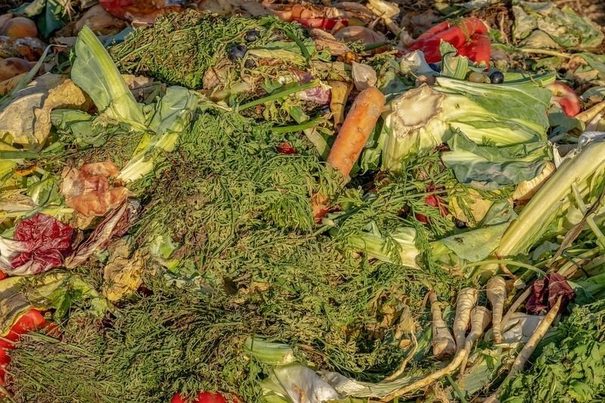 Canarias: Implementado el contenedor de basura orgánica para grandes productores en Tenerife