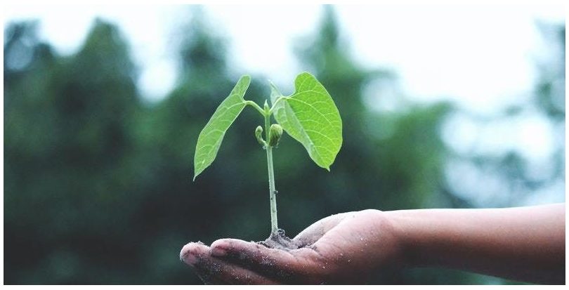 El MITECO quiere dar prioridad a la transición ecológica en una recuperación verde y circular  