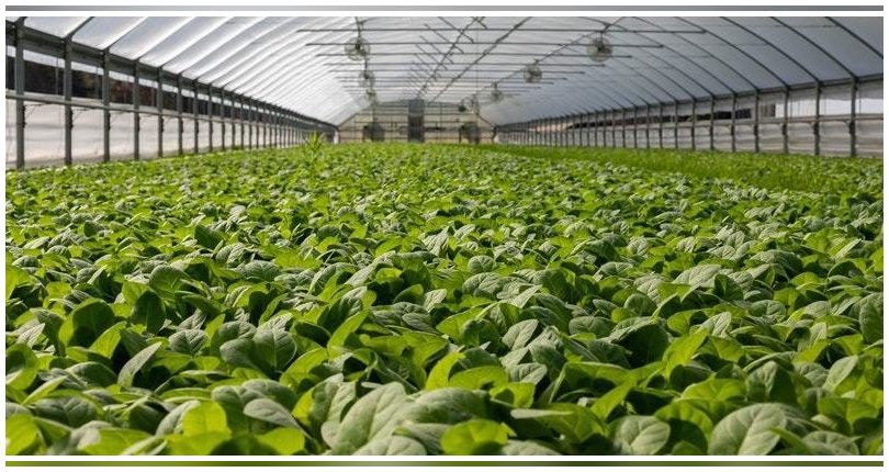 Andalucía: Restauradas en Huelva siete parcelas de antiguos vertederos de plásticos agrícolas