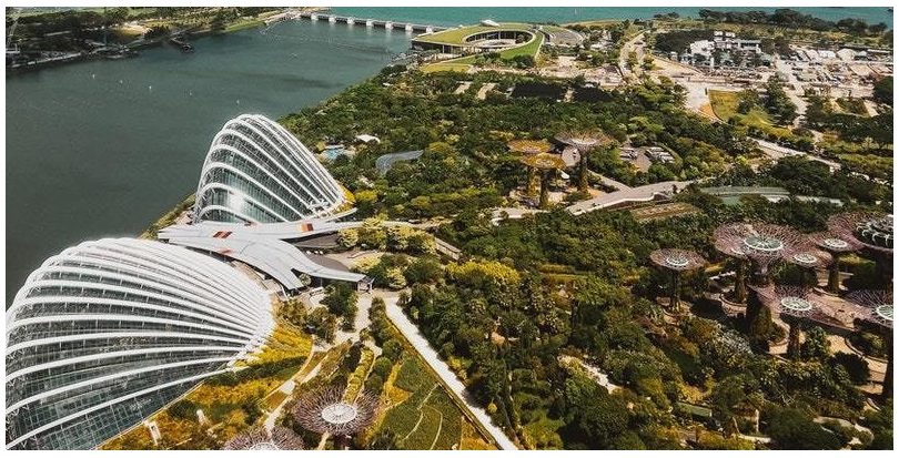 Singapur: el paraíso sostenible que hizo de la necesidad virtud