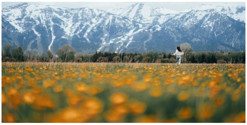 One Planet Summit se compromete  en París con la protección de la diversidad
