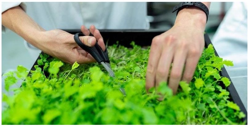 Valencia: Planean pedir fondos europeos para proyectos de economía circular, participación y eficiencia