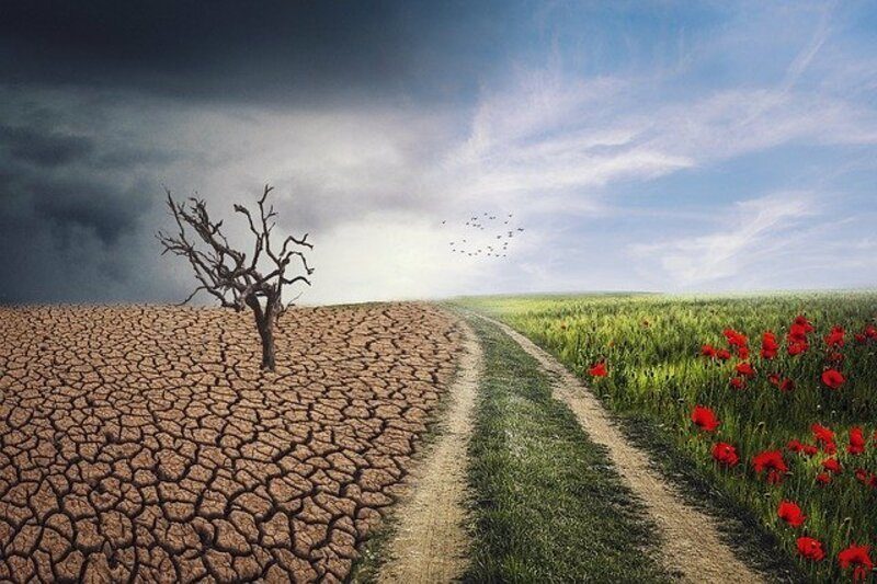 Los cambios climáticos bruscos ralentizan la economía
