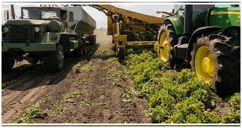 SIGFITO entregará sus premios anuales a los puntos de recogida de envases agrarios