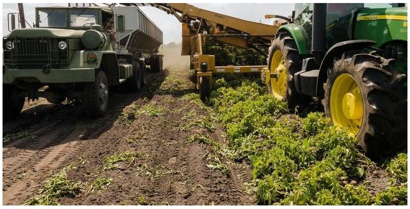 SIGFITO entregará sus premios anuales a los puntos de recogida de envases agrarios