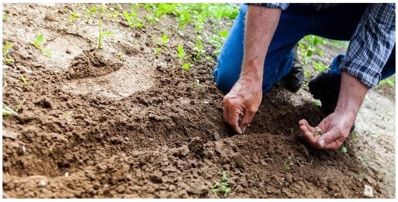 En consulta pública hasta el 27 de abril la Estrategia de Protección del Suelo de la UE 