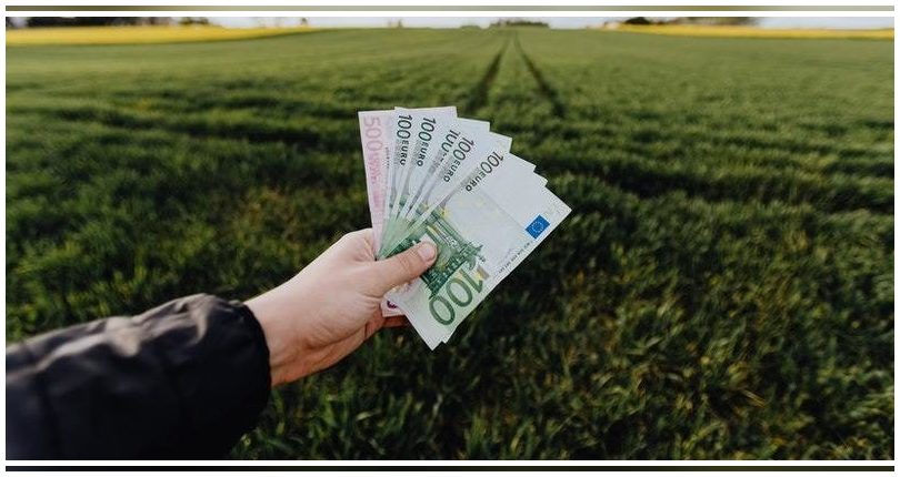 China lidera la lista de "fortunas verdes": así son los millonarios del clima