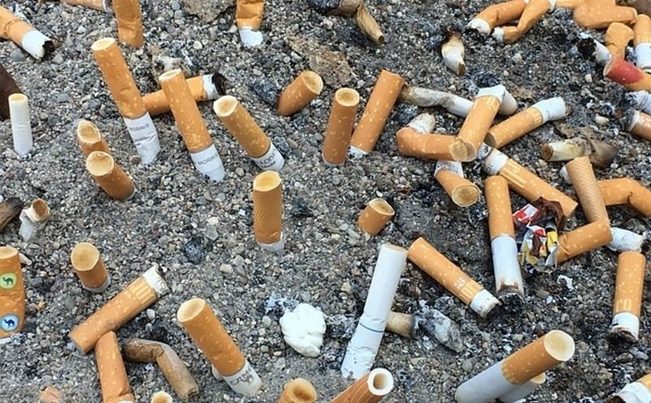 Ocho millones de colillas acaban abandonadas en la naturaleza cada minuto