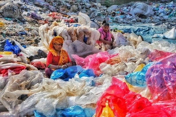 Recicladores: invisibles para la sociedad, fundamentales para la economía circular 