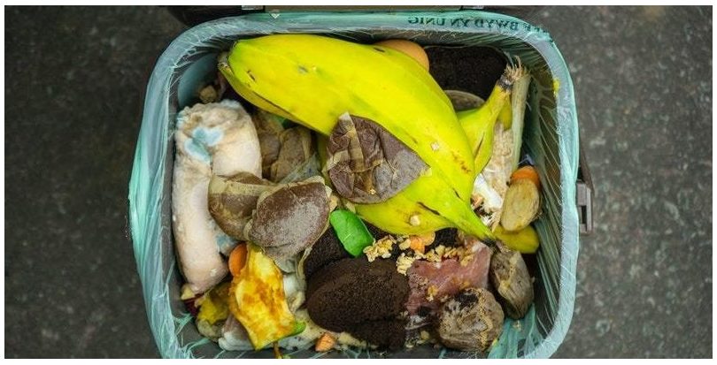 Castilla La Mancha: Comsermancha inicia el estudio de ubicación de los contenedores de materia orgánica