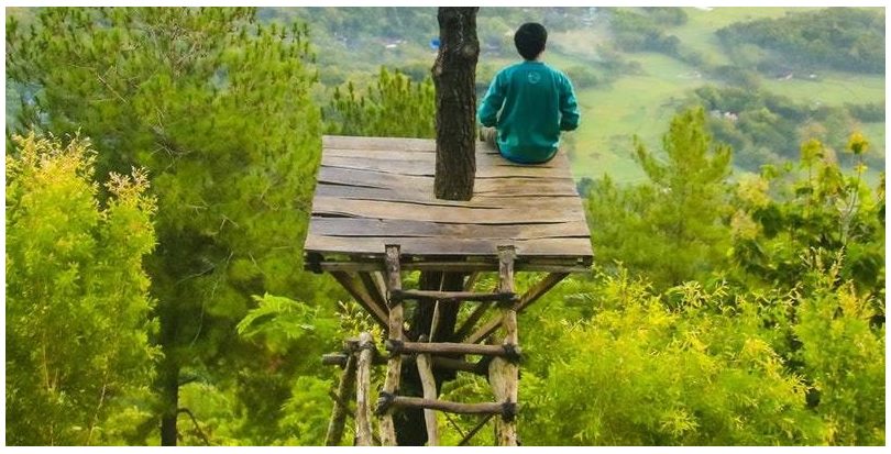 3 aspectos ambientales reforzados (para bien) por la COVID-19