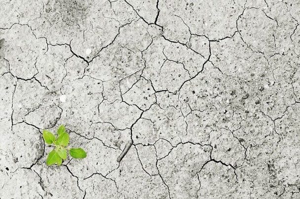 Ganar la batalla climática para liderar la economía mundial