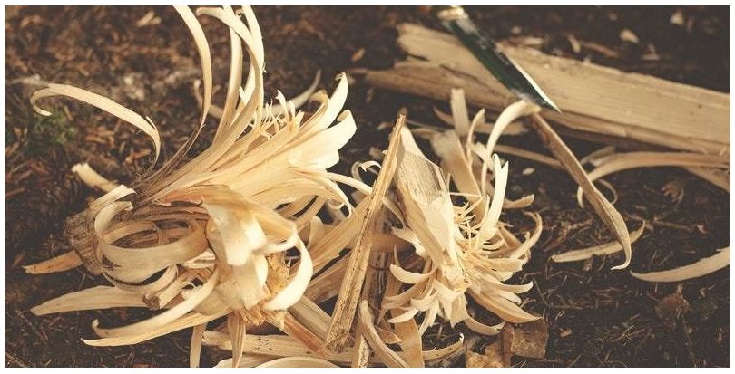 Investigadores de EE.UU. logran crear bioplásticos a partir de residuos de madera