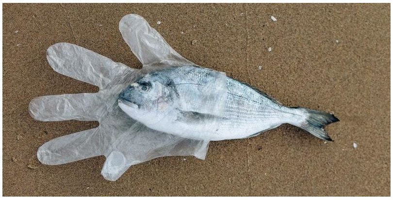 Cataluña: Los pescadores recogieron casi 45 toneladas de residuos marinos en la comunidad 