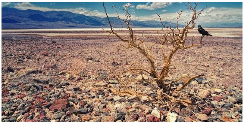 La ONU avisa: la desaceleración por la pandemia no ha frenado el cambio climático