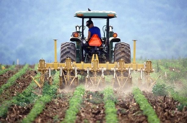 Aumenta en tres puntos porcentuales el reciclaje de envases agrarios en 2020, según datos de SIGFITO