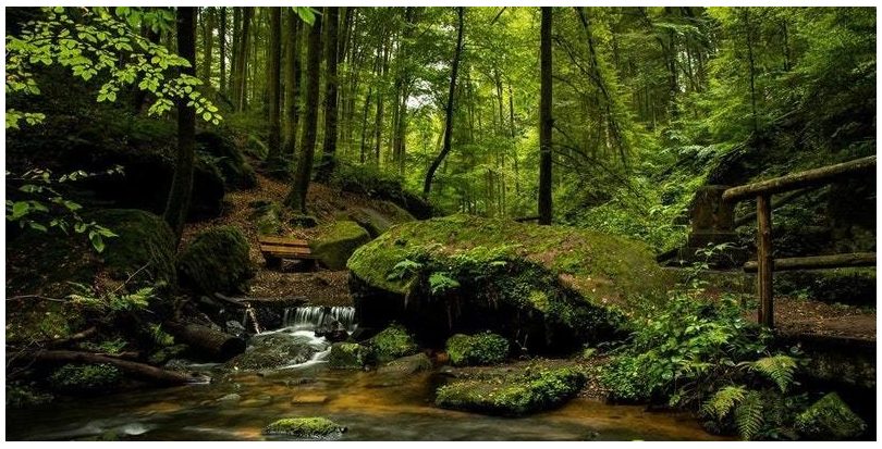 Un informe de la Eurocámara propone la redacción de una ley europea de biodiversidad