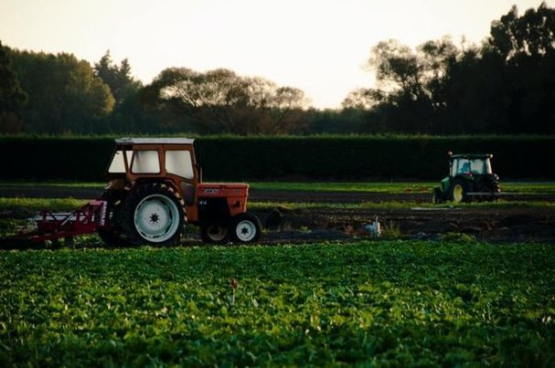 Investigadores canarios buscan un método de detección de microplásticos en desechos agroalimentarios