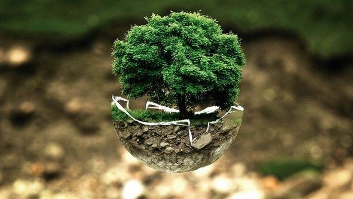 Asturias: Convocadas ayudas para fomentar la sensibilización medioambiental