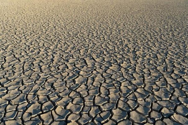 Más del 75% del territorio de España está en riesgo de desertificación