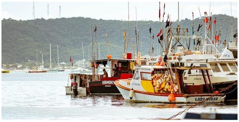 Galicia: El proyecto Clean Atlantic, buen ejemplo europeo en la lucha contra la basura marina